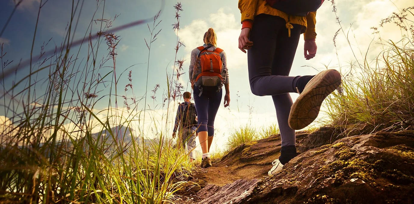 three people are running on a trail away from the camera